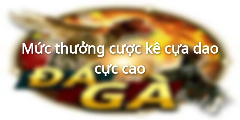 Điểm hấp dẫn của đá gà cựa dao